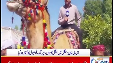 Glimpses of "Spring Festival-2025", at Ghazi University, Dera Ghazi Khan Mela Maweshiyan