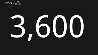 3600 Second Countup Timer Net Worth