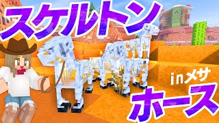 スケルトンホース確保成功！雨の日の不思議な出来事【マインクラフト