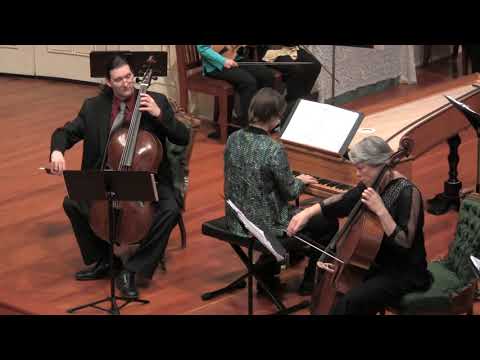 Vivaldi: Concerto for Two Cellos in G Minor RV 531, Voices of Music, original instruments