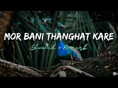 Mor Bani Thanghat Kare (Lyrics) | Slowed + Reverb | Ramleela | Aditi paul, Osman Mir
