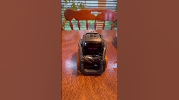 Whiskey being a prototype and flapping his bar | Vectorrobot.ddl on TikTok | 5-7-2022