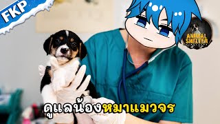 เกมจำลองรับเลี้ยงน้องหมาแมว ตามหาคนดูแล | Animal Shelter Simulator screenshot 2