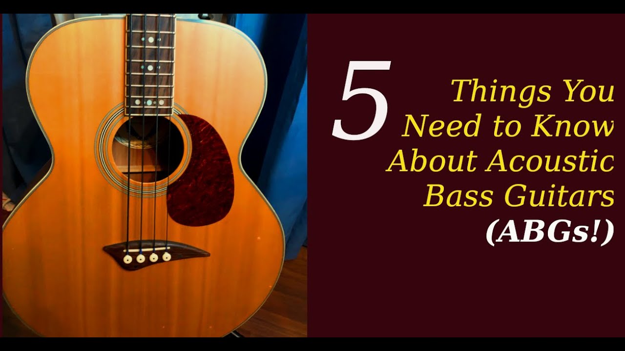 5 вещей, которые вам нужно знать об акустических бас-гитарах