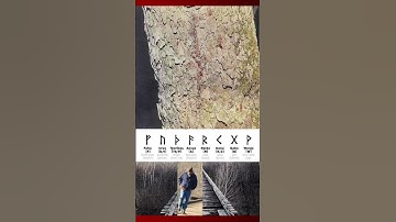 LEAKED Delphi Crime Scene Photo of The F Rune Painted on the Tree #delphicase #delphi