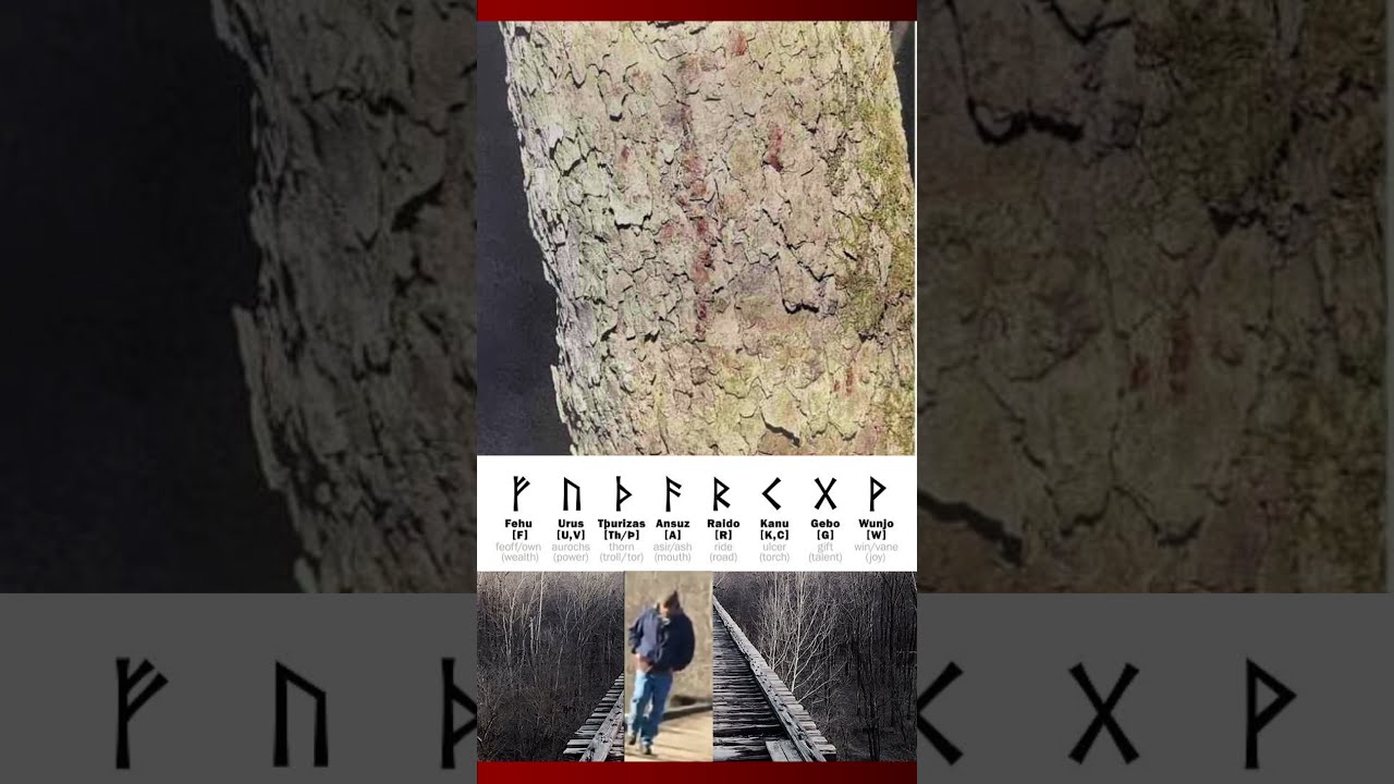LEAKED Delphi Crime Scene Photo Of The F Rune Painted On The Tree LEAKED Delphi Crime Scene Photo Of The F Rune Painted On The Tree
