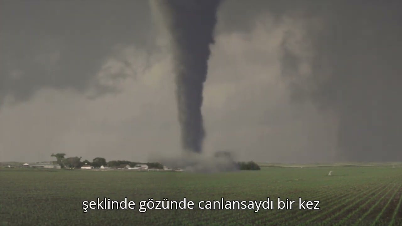 AFORİZMALAR- Efe EFEOĞLU