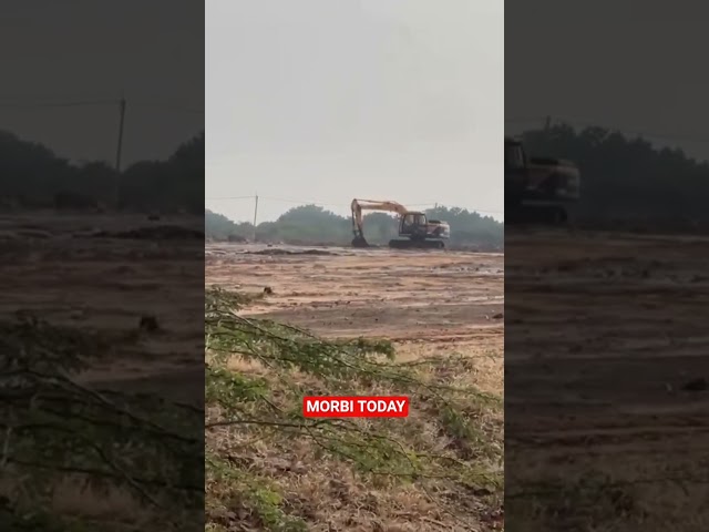 MORBI: માળિયા મિયાણા તાલુકામાં અભ્યારણ વિસ્તારમાં મીઠાનું ઉત્પાદન !:, તંત્રની કામગીરી સામે ઉઠતા સવાલ