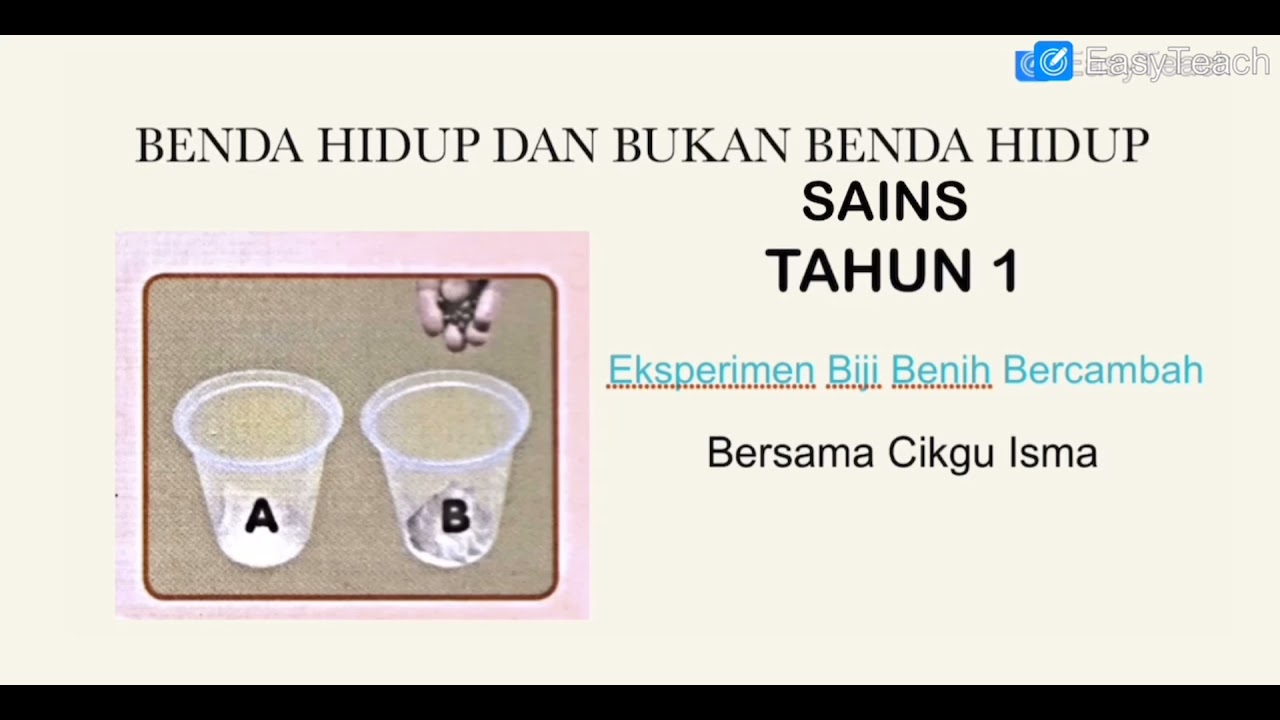 SAINS TAHUN 1 BENDA HIDUP DAN BENDA BUKAN HIDUP YouTube