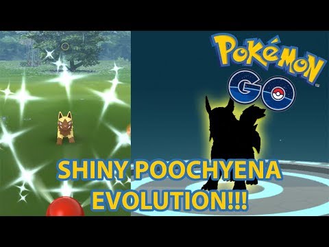 Evolve does poochyena how to