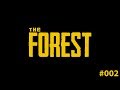 The Forest - #2 Ночное нападение