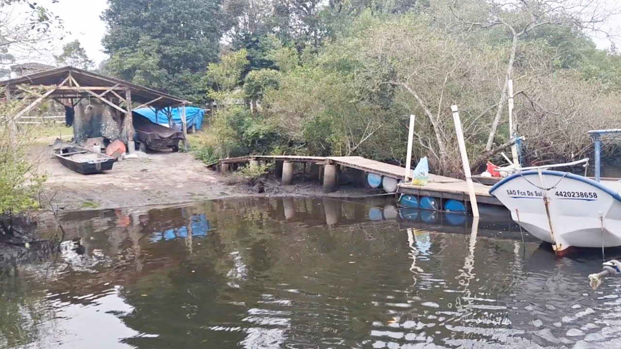 Pesca em Alto Mar: Encontro Incrível com Gigantes do Mar!