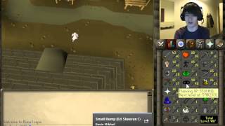 Daily Vlog 4 - 90/99 Thieving, 2 days left!