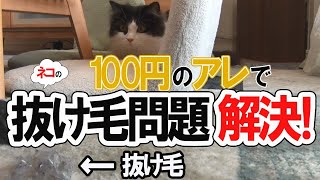 Super easy! 100 yen item solves hair loss cleaning proble[Cat pride]