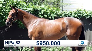 The Saratoga Sale (2019): Tapit filly sells for $950,000 (Hip 82) Wealth