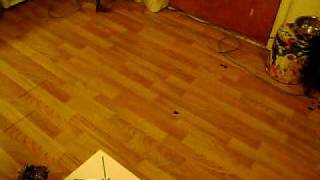MOV00006.AVI