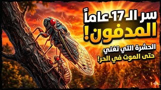 السر المدفون تحت الأرض لـ 17 عاماً.. ما هي حشرة السيكادا (الزيز) الغامضة؟
