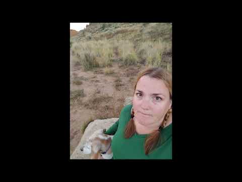 It's NEVER "Just a Dog"