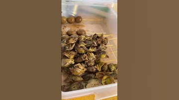 Thumbnail of Sate ati ampela telor! Enak di makan bareng bubur