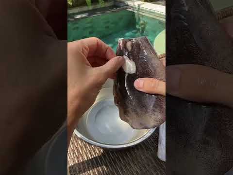 Видео: Как запустить кальмара?
