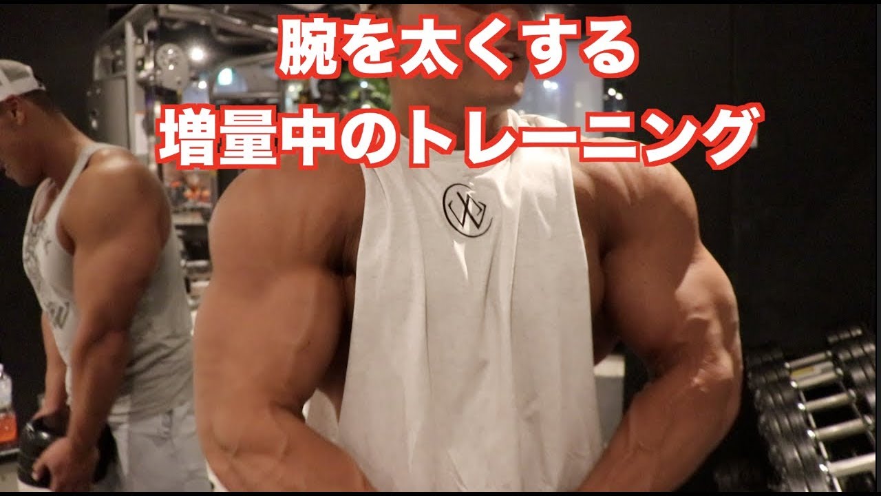 太い腕を手に入れろ 増量中の腕トレ Youtube