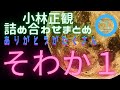 そわかまとめ1☆小林正観詰め合わせ超まとめ #japaneselanguage #jap&atilde;o #japon #japan #小林正観 #まとめ #作業用bgm