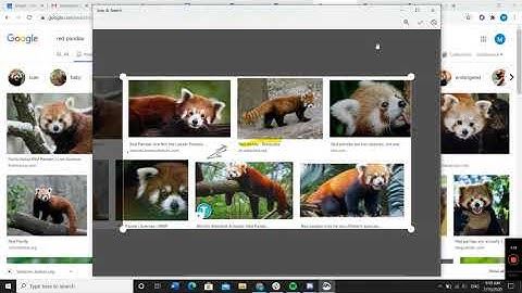 How to Use Snip & Sketch for Windows 10
