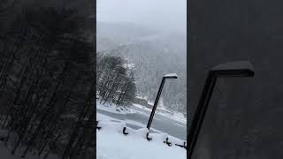 trabzon♥️çaykara 💖💖uzungöl, 💗💗💗💗