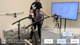 Human-in-the-loop Optimization for robot-assisted gait training