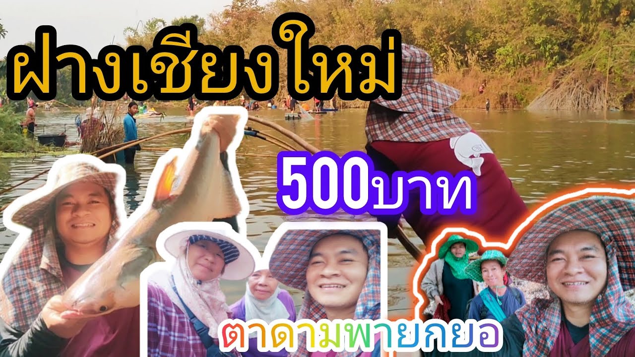 ยกยอฝางเชียงใหม่ บัตร500บาท ม่วนๆหมานๆ ครั้งแรกมาไกล