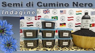 Tutta la verità sui semi di cumino nero nel mondo.