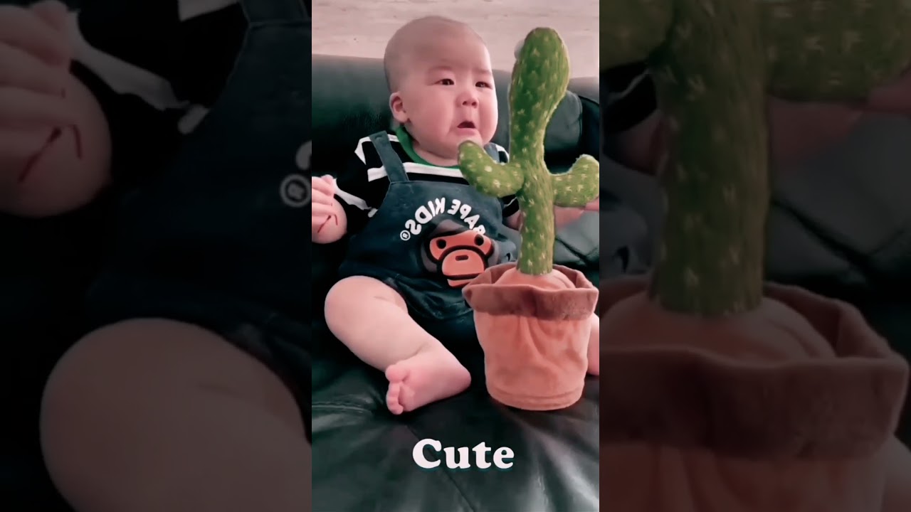 cute baby ding dong 