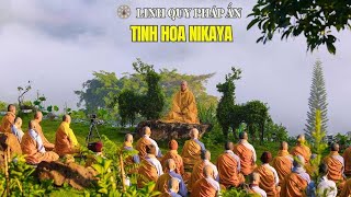 NIKAYA Trưởng Lão Tăng & Ni Kệ - Người Quét Rác & Tỳ Kheo Già Tinh Tấn *
