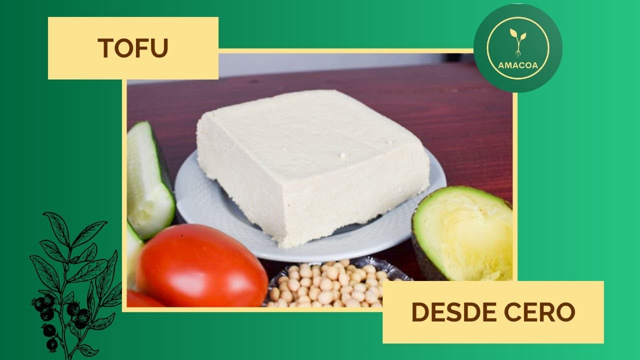 Cómo hacer TOFU CASERO desde CERO - Amacoa