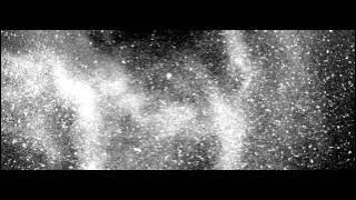 Lily Kershaw - Ashes Like Snow [Lyric Video]