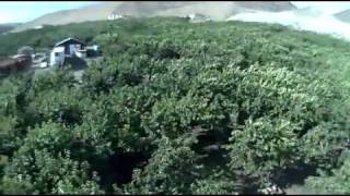 Helicopter Cherry Drying Flight #1