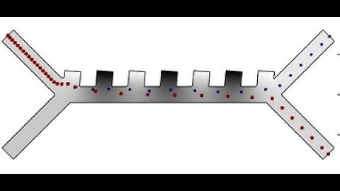Microfluidic-DEP Separation (RBC and CTC)