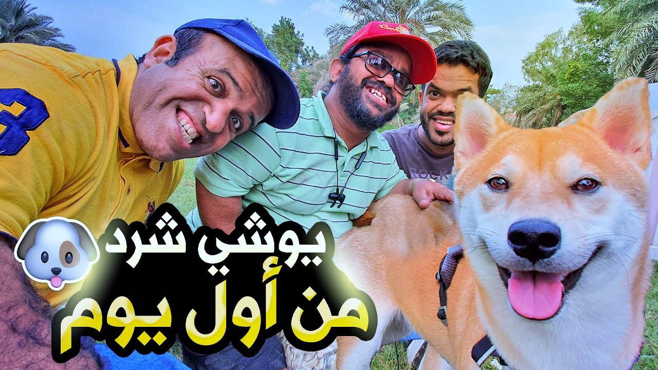 🤣🤣ضيفنا الجديد كلب  🐶