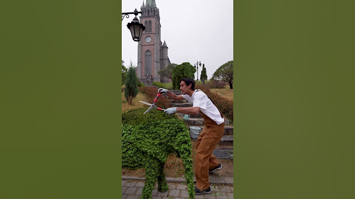 Gardening gone wrong