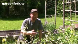 Vegetable Gardening in spring, how to grow vegetables