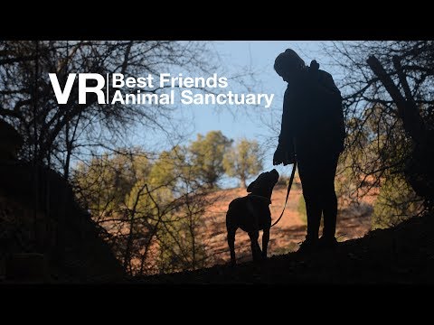 Video: Sprievodca Dobrovoľníctvom V Sieti Best Friends Animal Sanctuary - Matador Network