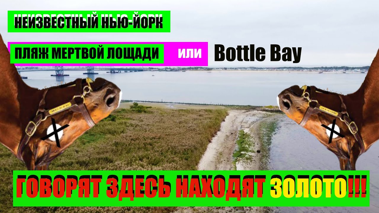 ЗДЕСЬ НАХОДЯТ ЗОЛОТО! ПЛЯЖ МЕРТВОЙ ЛОШАДИ или Bottle bay