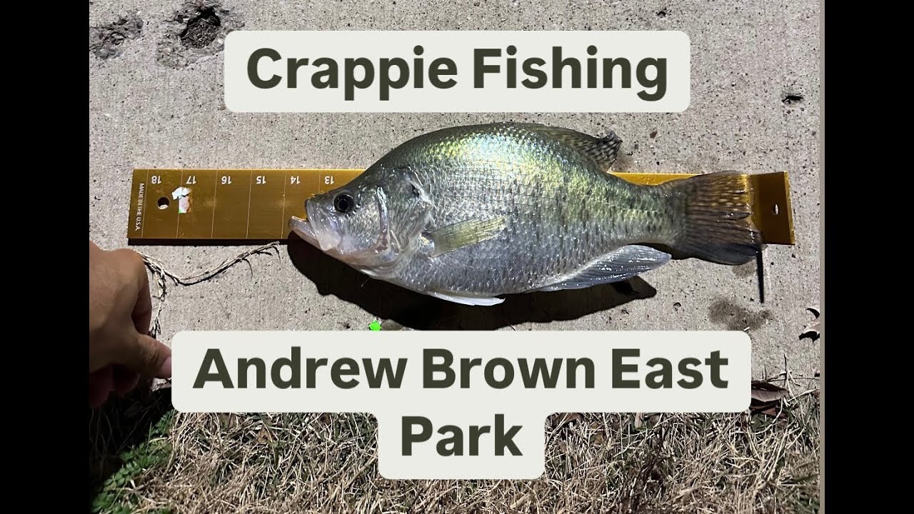 Big Crappie Andrew Brown East Park