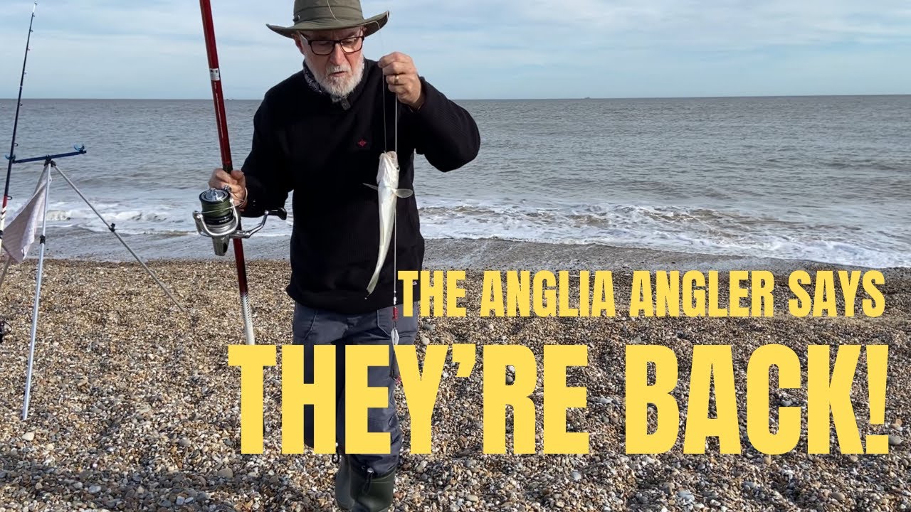 Pakefield, Lowestoft  October 2023.