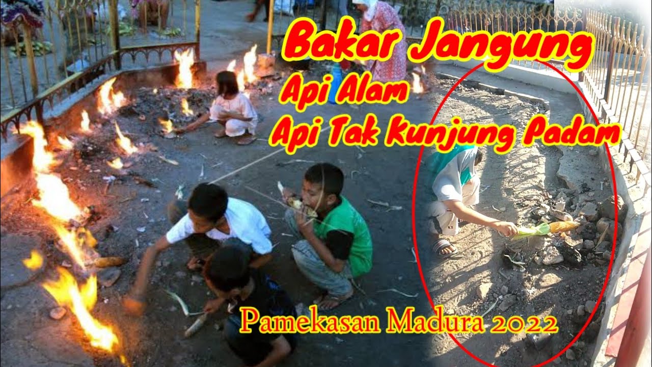 Api Alam 2022 || Api Tak Kunjung Padam Pamekasan Madura - YouTube