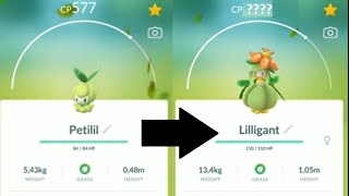 Pokémon Lilligant Sol e Lua Alola Petilil, golem alola, Comida