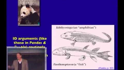 Prof. Ken Miller - Transitional fossils in support of evolutionary theory
