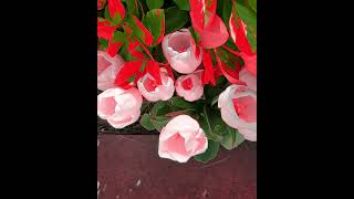 Spring Fever....Photos Of Spring Flowers #spring #flowers #photography #springvibes