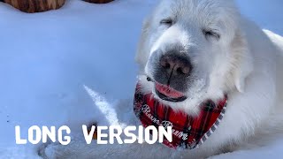 【ルンルンの裏庭】ロングバージョン：雪の中で食べるお芋がとても美味しくてウットリするルンルンです