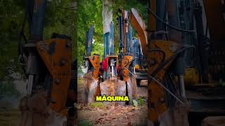 Así mueven árboles sin destruirlos 😮